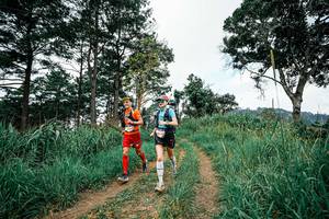 BIB: 
                            <button type="button" onclick="openModal(26036358)" class="btn btn-primary btn-sm float-right btn-popup" data-toggle="modal" data-target=".modal-high-quality">
                        <i class="fas fa-shopping-cart"></i> Add to Cart
                    </button>
                                            <button type="button" onclick="isThisMe(26036358, true)" class="btn btn-success btn-sm float-right btn-popup btn-isme hidden" data-toggle="tooltip" data-placement="bottom" title="นี่คือรูปของคุณใช่ไหม คลิกที่นี่เพื่อเอาเข้าอัลบั้ม">
                        <i class="fas fa-plus"></i> Add to album
                    </button>
                    <button type="button" onclick="isThisMe(26036358, false)" class="btn btn-warning btn-sm float-right btn-popup btn-isnotme hidden">
                        <i class="fas fa-ban"></i> Remove from album
                    </button>